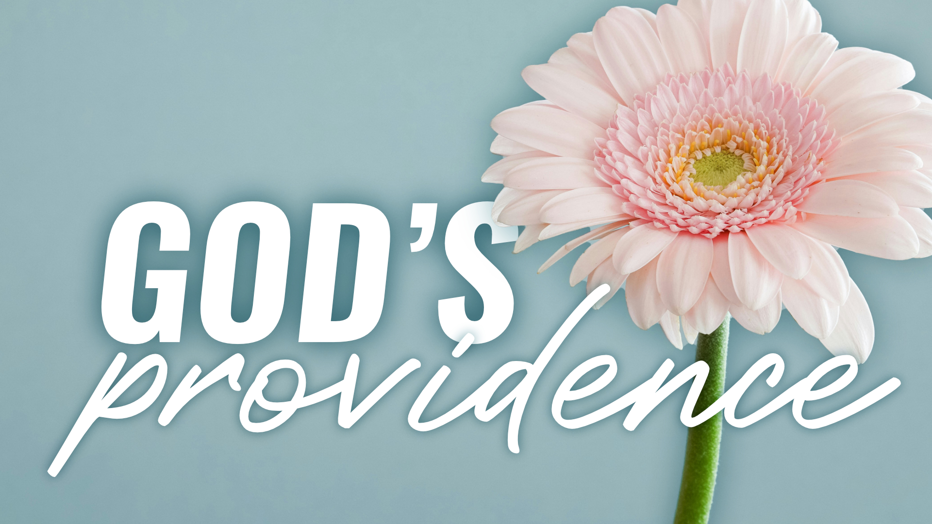 How to identify God’s providence